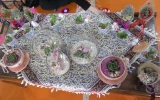 چهار 14