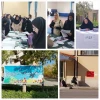 کسب رتبه سوم کشوری سرکار خانم داوودزاده 2